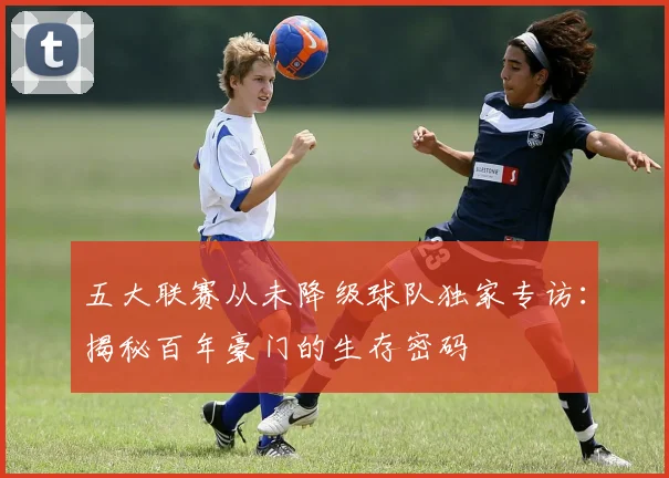 五大联赛从未降级球队独家专访：揭秘百年豪门的生存密码