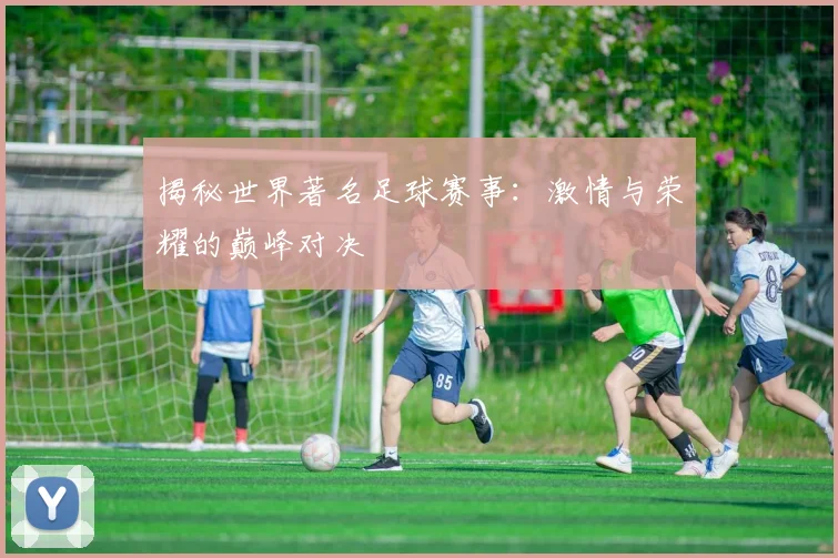 揭秘世界著名足球赛事：激情与荣耀的巅峰对决